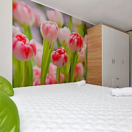 Colla 펜션 투체피