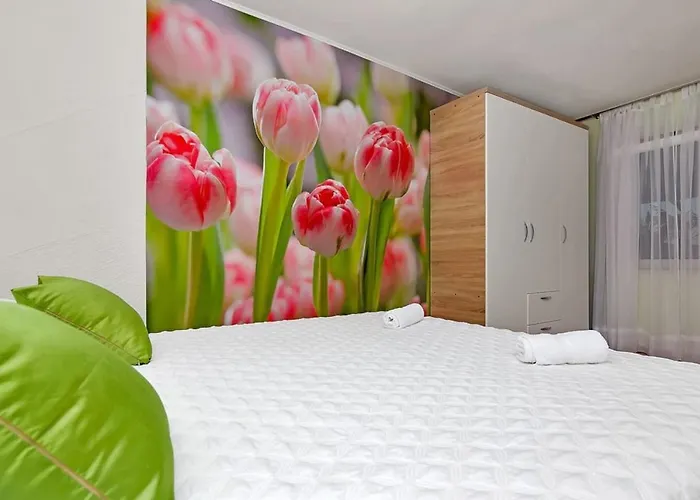 Colla Tatil Evi Tučepi